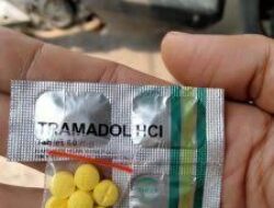 FWJI DPW Banten Akan Berantas Toko Obat Golongan G 