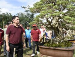 Gelar Pameran dan Kontes Bonsai Tingkat Nasional, M. Firsada Beri Apresiasi PPBI Tubaba