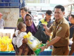 Firsada Dikabarkan Kembali Jadi Pj Bupati Tulangbawang Barat, Begini Berikut Profilnya