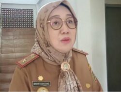 Binarti Bintang ‘Tanggapi’ Soal PJ Bupati Tulangbawang Barat Firsada Akan Diperpanjang