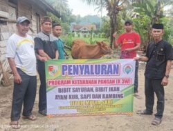 Melalui DD Tahun 2024 Program Ketahanan Pangan K3W Tiyuh Mulya Sari, Siap Turunkan Angka Stunting