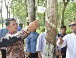 Pemkab Tubaba dan Muhammadiyah Buka Investasi Bagi Mercu Biotech Group