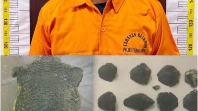Satreskrim Polres Tulang Bawang Tangkap Penjual Satwa Yang Dilindungin