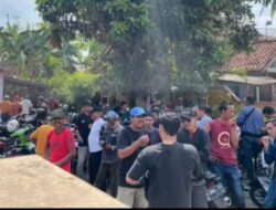 Mampukah NoNa Raih 100% Suara? Gerakan Kotak Kosong Siap Menggoyang!