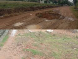 Mobilitas Lumpuh, Infrastruktur Jalan Agung Jaya Butuh Perhatian Serius